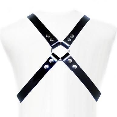Leather Body Basic Harness 1