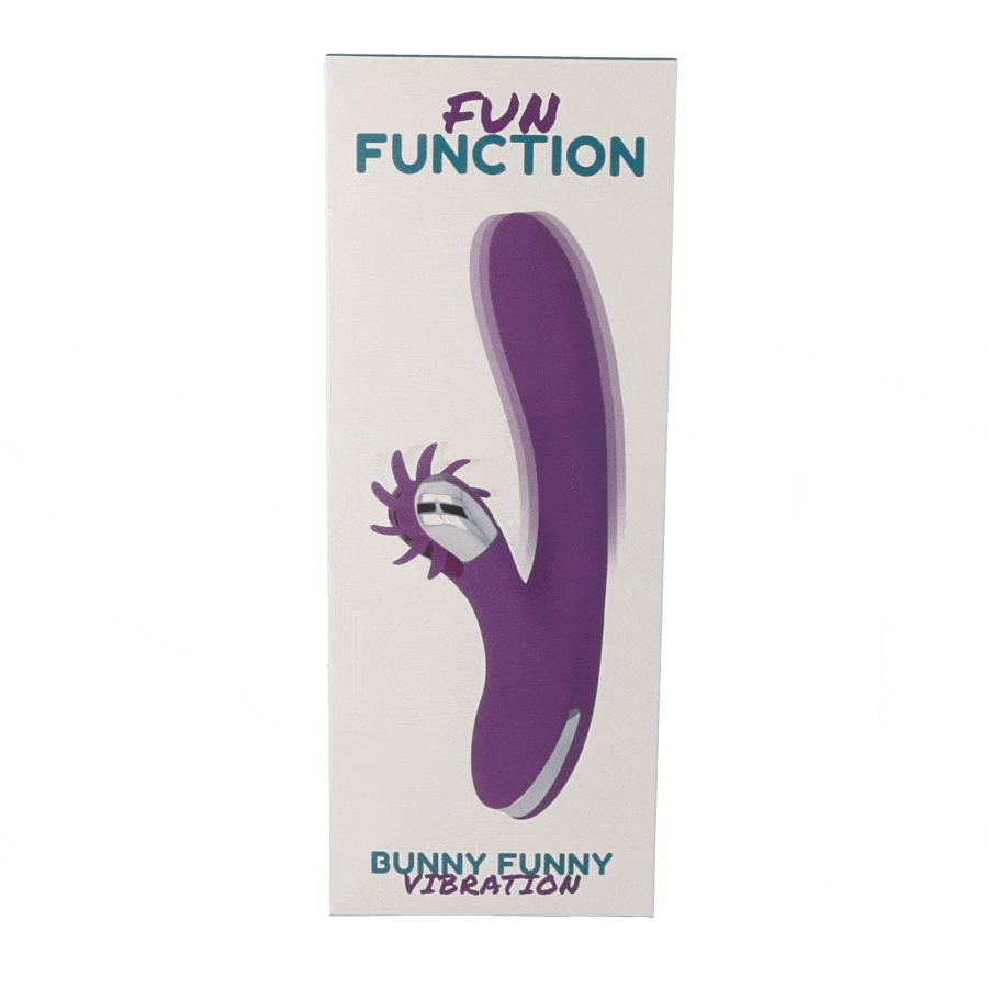 Fun Function Bunny Funny Rotation 3