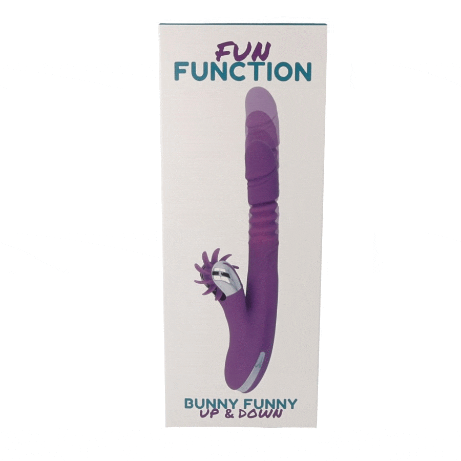 Fun Function Bunny Funny Up & Down 5