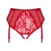 Imagen Miniatura Obsessive - Dagmarie Panties con Liguero Xs/S 4