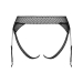 Imagen Miniatura Obsessive - Lanelia Panties con Liguero Xs/S 4