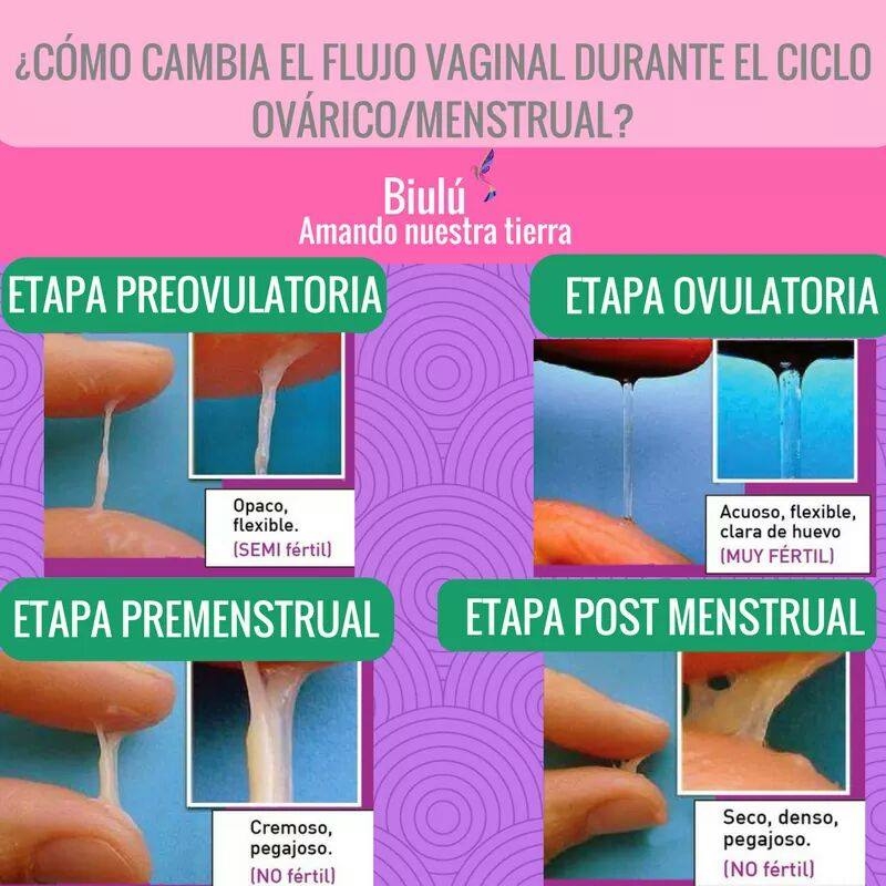 Flujos vaginales etapas